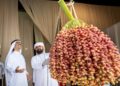 عبدالله بن دلموك : دبي للرطب ينتقل بالنخلة من رمز تراثي إلى حضور حي في المجتمع