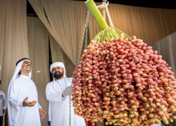 عبدالله بن دلموك : دبي للرطب ينتقل بالنخلة من رمز تراثي إلى حضور حي في المجتمع