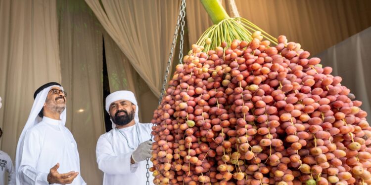 عبدالله بن دلموك : دبي للرطب ينتقل بالنخلة من رمز تراثي إلى حضور حي في المجتمع