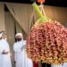 عبدالله بن دلموك : دبي للرطب ينتقل بالنخلة من رمز تراثي إلى حضور حي في المجتمع