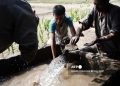 وزير الزراعة المصري يدعو الشركات الإيطالية للاستثمار: «فرص عظيمة» في القطاع الزراعي