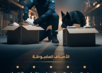“المنافذ الجمركية” تسجل 1039 حالة ضبط خلال أسبوع