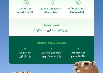 “البيئة” تعتمد الضوابط التنظيمية للمتاجرة بالإبل لتطوير القطاع وحماية حقوق المتعاملين وتعزيز الرفق بالحيوان